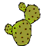 cactus imatges-animades-gif